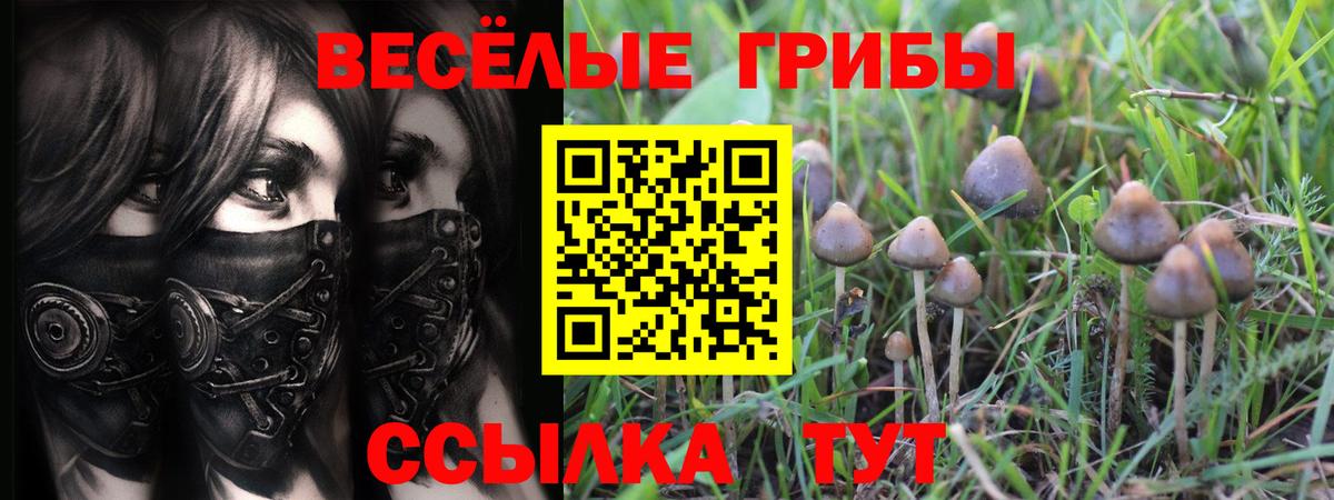 Галлюциногенные грибы мухоморы Алушта
