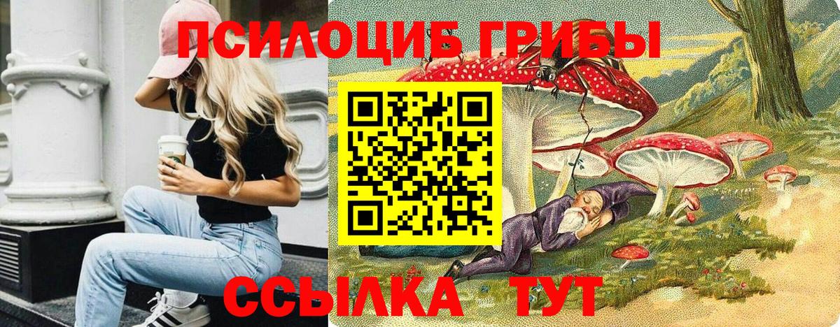 Алушта  наркота  Вход с VPN  Псилоцибиновые грибы Magic Shrooms 